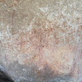 2028 B3 035 (White Rhino) 2026-7-25_024