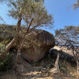 2028 B3 035 (White Rhino) 2026-7-25_031