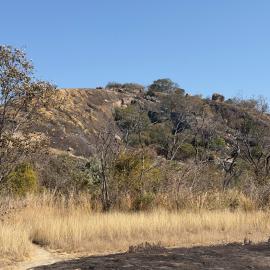 2028 B3 035 (White Rhino) 2026-7-25_037