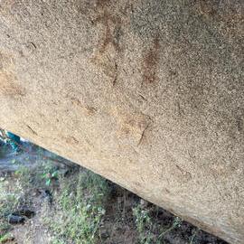 2028 D1 098 (Mbalebale) 2026-7-25_012