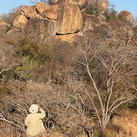 2028 D1 098 (Mbalebale) 2026-7-25_059