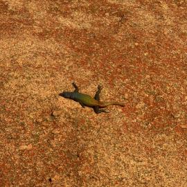 Malindidzimu Hill (World's View) 2026-7-25_017