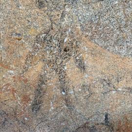 2028 xx xxx (Cave 360) 2026-7-26_024