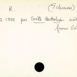 Box-007-Sorb-Box-0465