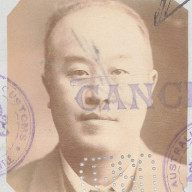 PING MONG