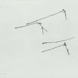 Illustrations_From_Field_Book001_0002