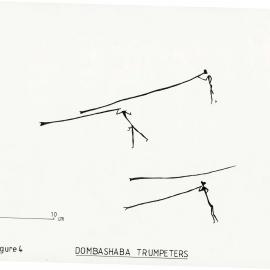 Illustrations_From_Field_Book001_0003
