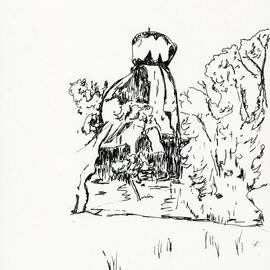 Illustrations_From_Field_Book001_0013