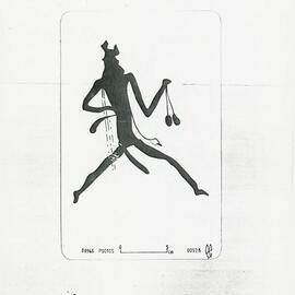 Illustrations_From_Field_Book001_0026