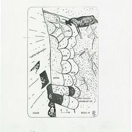 Illustrations_From_Field_Book001_0028