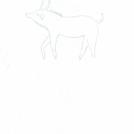 Illustrations_From_Field_Book001_0079