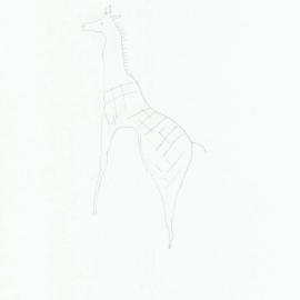 Illustrations_From_Field_Book001_0081