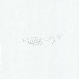 Illustrations_From_Field_Book001_0090