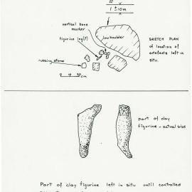 Illustrations_From_Field_Book002_0100