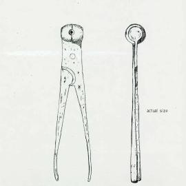 Illustrations_From_Field_Book002_0119