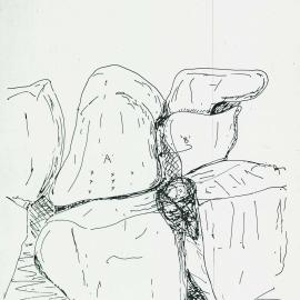 Illustrations_From_Field_Book002_0140