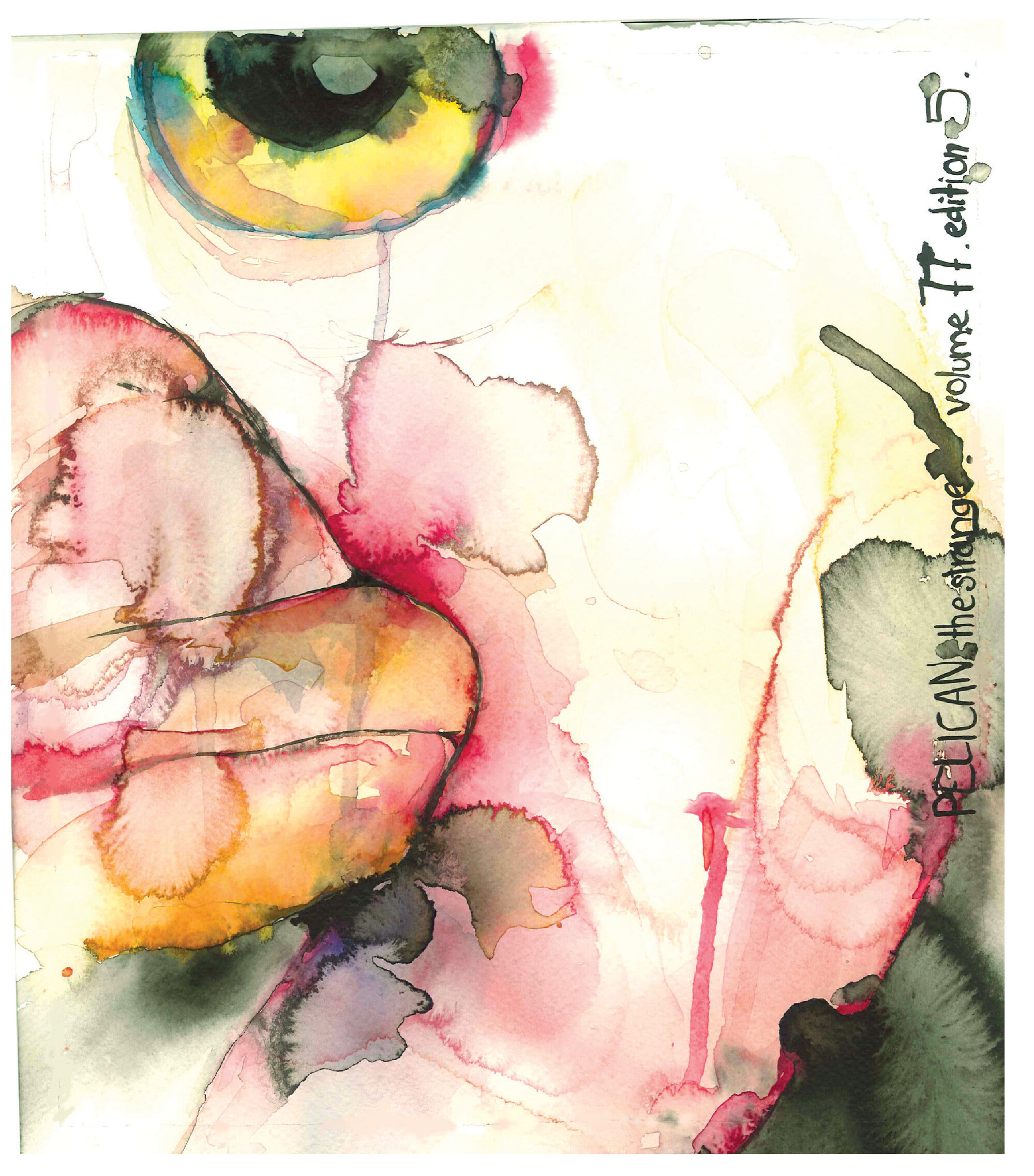 The Pelican, Vol. 77, no. 5 (2006)