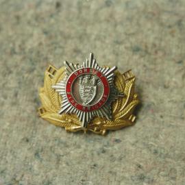 PGN_Box_003_FB_Rank_Markings_Badges_0011