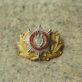 PGN_Box_003_FB_Rank_Markings_Badges_0012