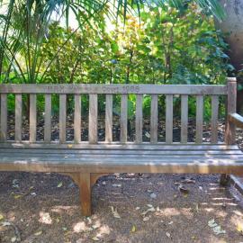 62720P - UWA Benches Project - HOLMES a COURT : M.R.H. Holmes a Court 1986 - Tropical Grove - Close Up