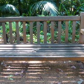 62722P - UWA Benches Project - JOHNSTON : SENATOR E. B. JOHNSTON 1880-1942 GIVEN BY HIS DAUGHTER BERTA - Tropical Grove - Close Up