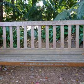 62724P - UWA Benches Project - ALLTREE : SHIRLEY M. ALLTREE 1986 - Tropical Grove - Close Up