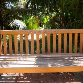 62729P - UWA Benches Project - GUILFOYLE : C.M. & J.P. Guilfoyle 1985 - Tropical Grove - Close Up