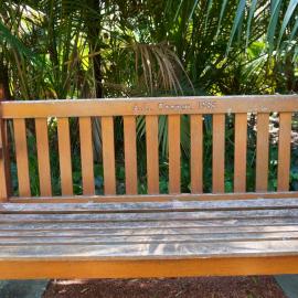 62730P - UWA Benches Project - COOPER : K.L. COOPER, 1985 - Tropical Grove - Close Up