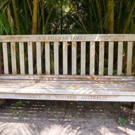 62733P - UWA Benches Project - HILLMAN : 3 generations of the RM HILLMAN FAMILY graduates UWA 1942-2007 - Tropical Grove, Great Court North - Close Up