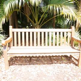 62735P - UWA Benches Project - ABERCROMBY : KEITH ABERCROMBY B. E. - Tropical Grove, Great Court North - Close Up