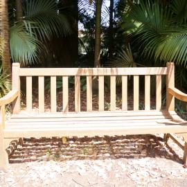 62736P - UWA Benches Project - BIGGINS : ROBERT BIGGINS - Tropical Grove, Great Court North - Close Up