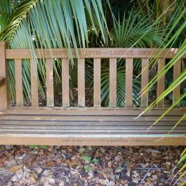 62737P - UWA Benches Project - ASQUITH : POPPY ASQUITH - LAUREL BIGGINS - Tropical Grove, Great Court North - Close Up