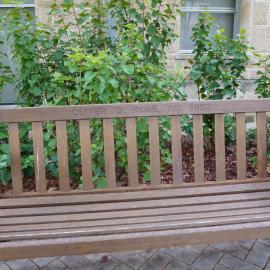 62772P - UWA Benches Project - ROSE : OLIVER G. ROSE. J. P. 1993 - Patricia Crawford Court, Arts - Close Up