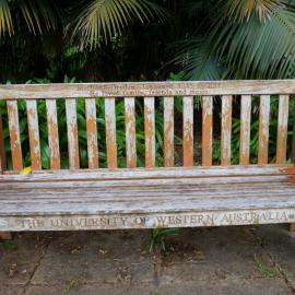 62784P - UWA Benches Project - TREASURE : Michael Bredin Treasure 1945 to 2011 He loved family, friends and music - Tropical Grove, Great Court South - Close Up