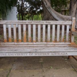 62785P - UWA Benches Project - ROSS : Gordon and Caroline Ross - James Oval - Close Up