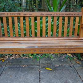 62794P - UWA Benches Project - SANDER : JAMES E SANDER 1989 - 2009   'How strange it is to be anything at all' - Hackett Hall South - Close Up