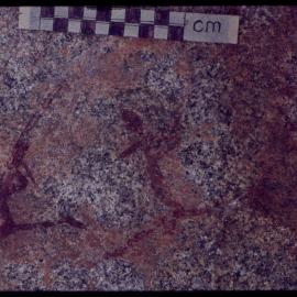 06405