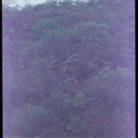 06456