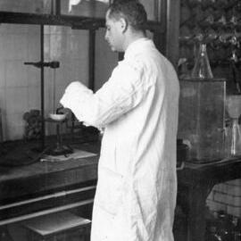 62311P - Wolfe Segal - Working in Laboratory