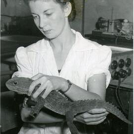 62625P - Margaret Feakes (Bennetts) with New Zealand lizard