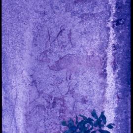 07066