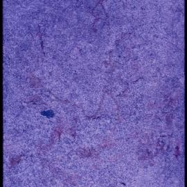 07078