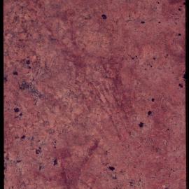 07619