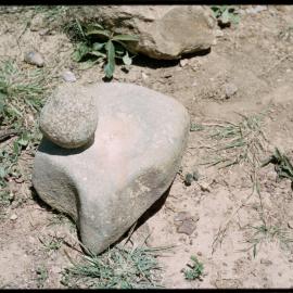 07975