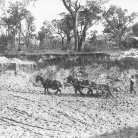 4380P - Draught horses at work on Crawley site - Sand Quarry that became the Sunken Garden - circa 1930