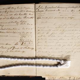 Captain McDermott Notebook page - record of employment of Chow Moon as crew on ship - Emily Taylor