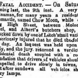 Article - Fremantle Herald 16th June 1877