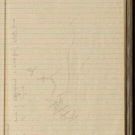 Peter Genge field notes. 00033