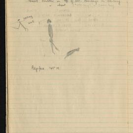 Peter Genge field notes. 00396
