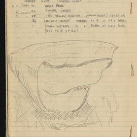 Peter Genge field notes. 00398